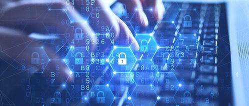 網(wǎng)絡技術服務市場的規(guī)模與機遇